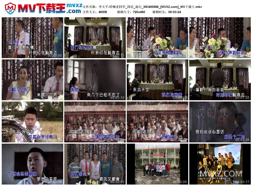 李天平-哎呦老同学_国语_流行_ME400588